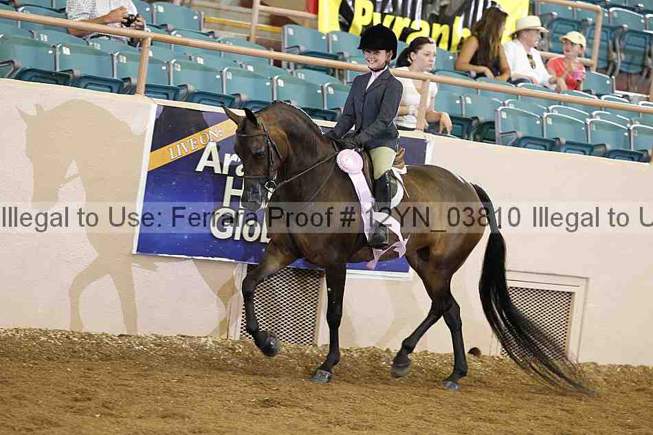 Proof 12yn_03810