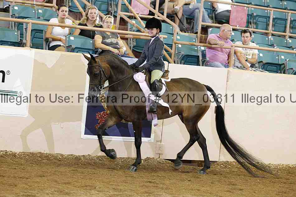 Proof 12yn_03811