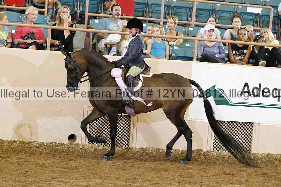Proof 12yn_03812