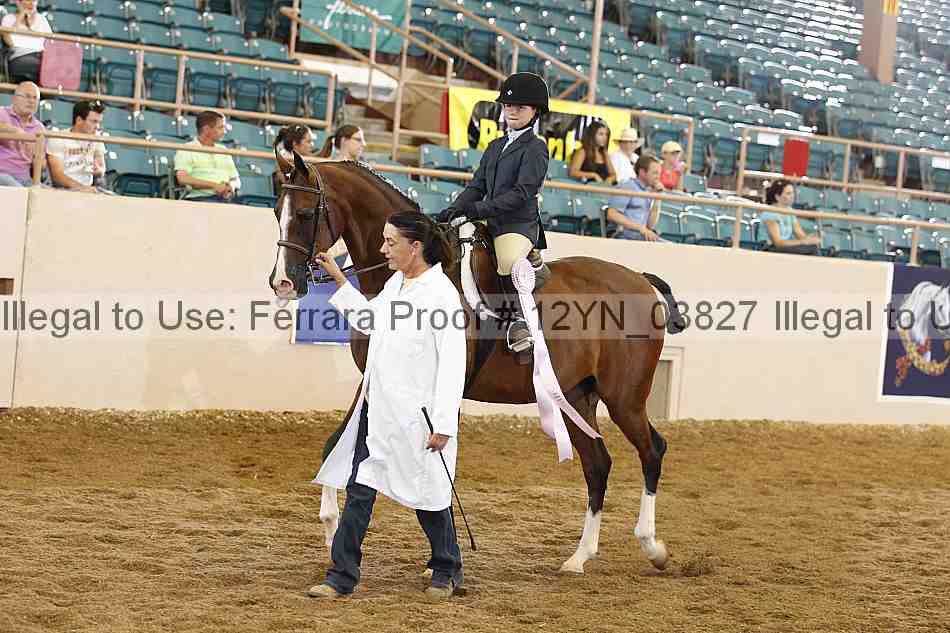 Proof 12yn_03827