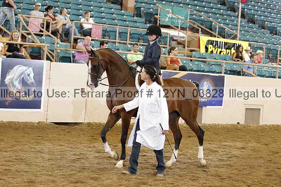 Proof 12yn_03828