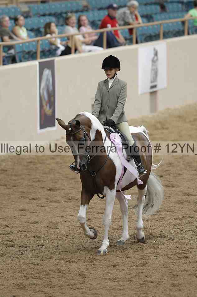 Proof 12yn_03829