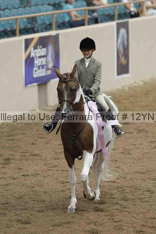 Proof 12yn_03831