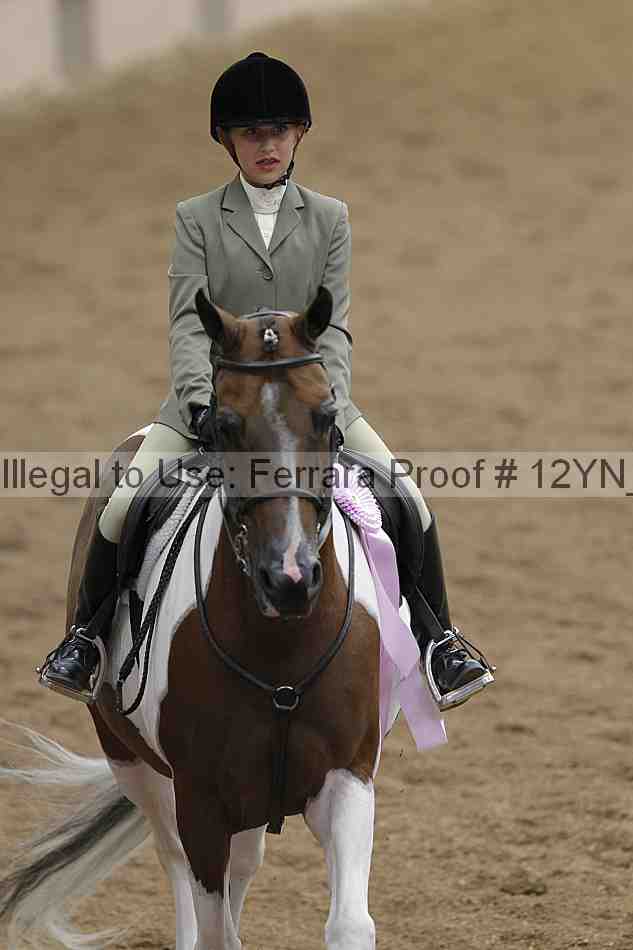 Proof 12yn_03835