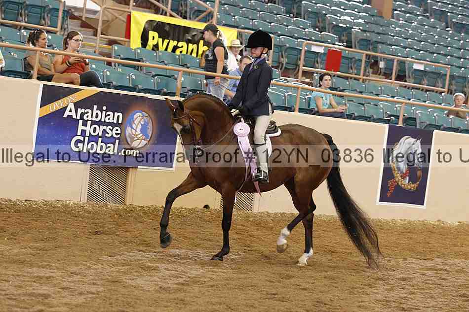 Proof 12yn_03836