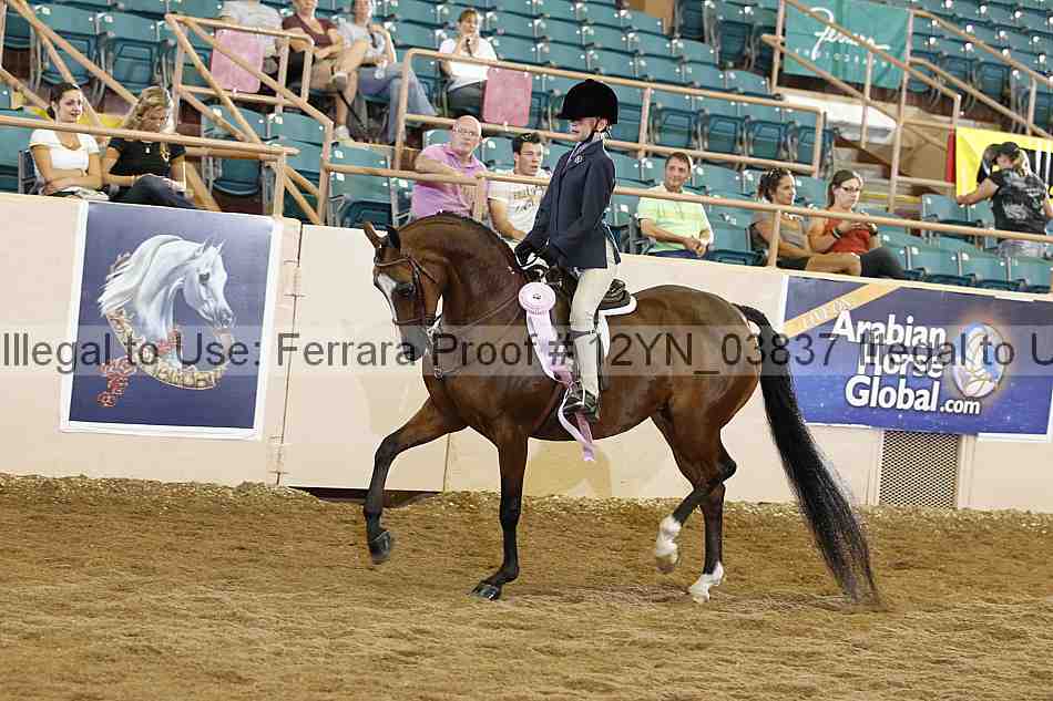 Proof 12yn_03837