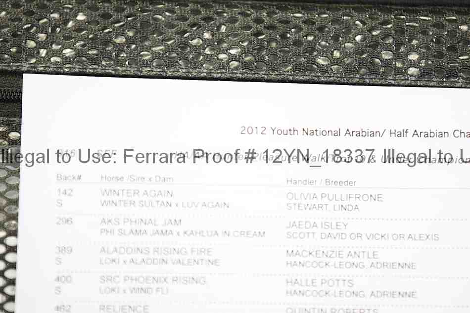 Proof 12yn_18337