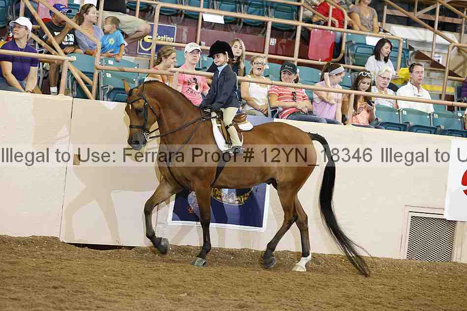Proof 12yn_18346