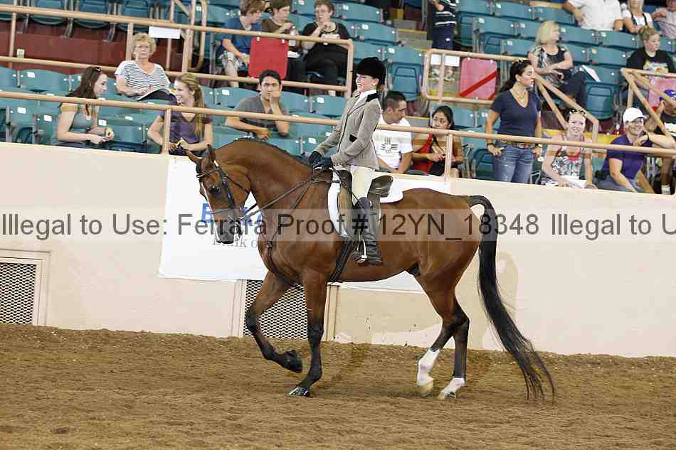 Proof 12yn_18348