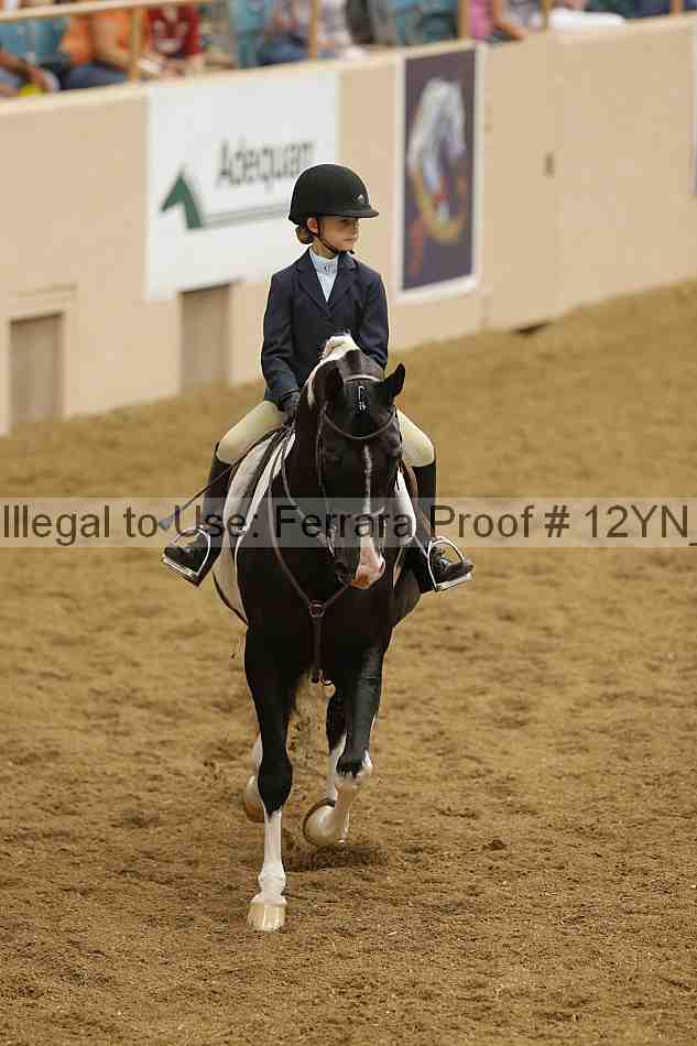 Proof 12yn_18352