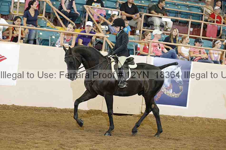 Proof 12yn_18364