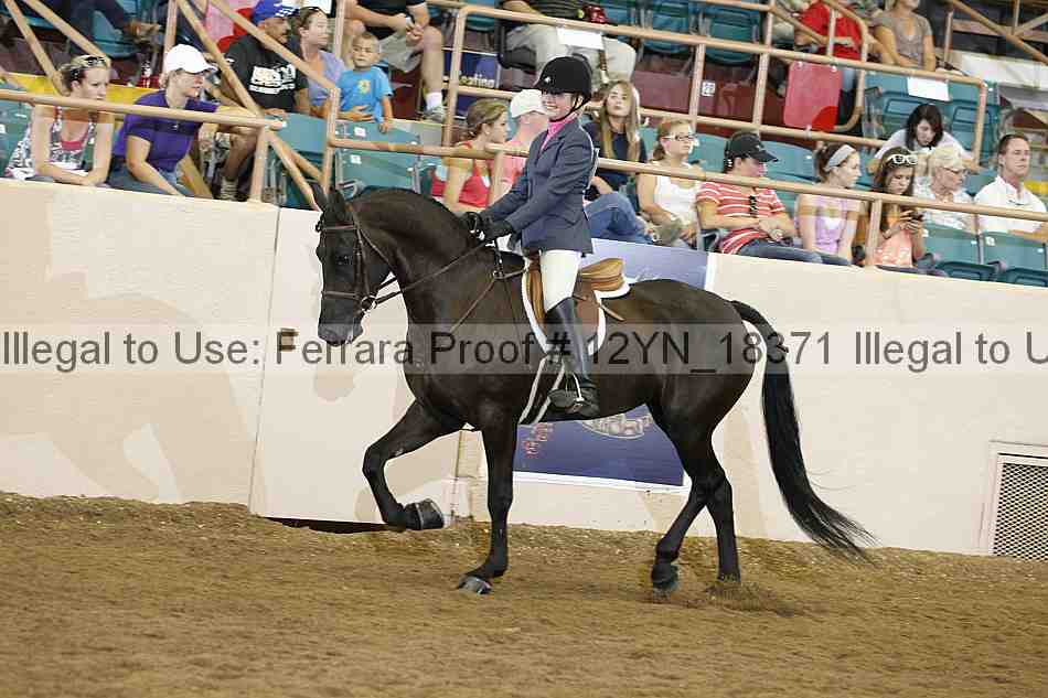 Proof 12yn_18371