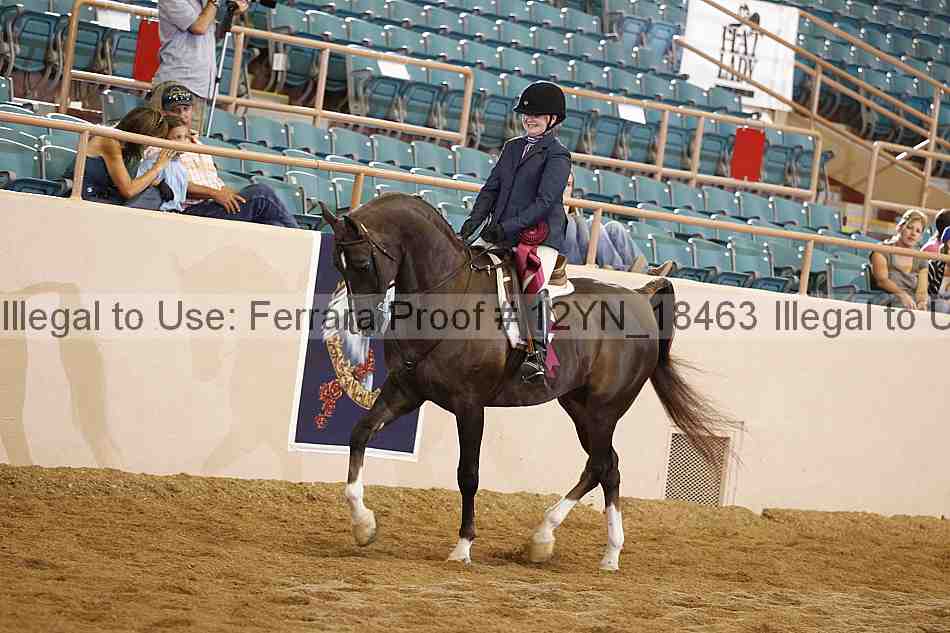 Proof 12yn_18463