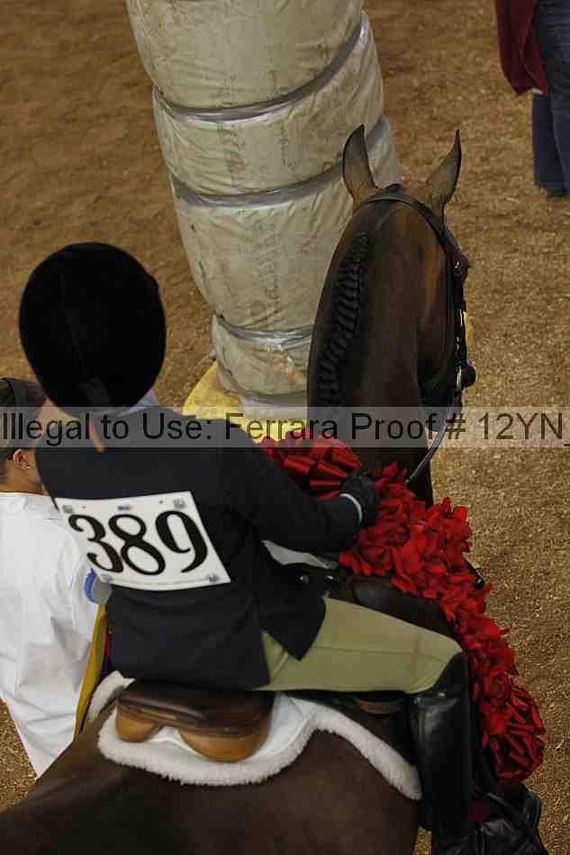 Proof 12yn_18503