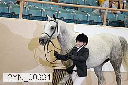 12yn_00331 proof