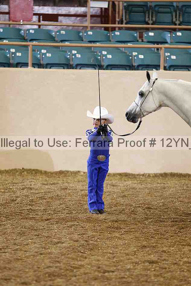 Proof 12yn_00367