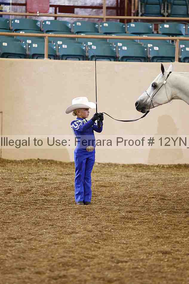Proof 12yn_00368