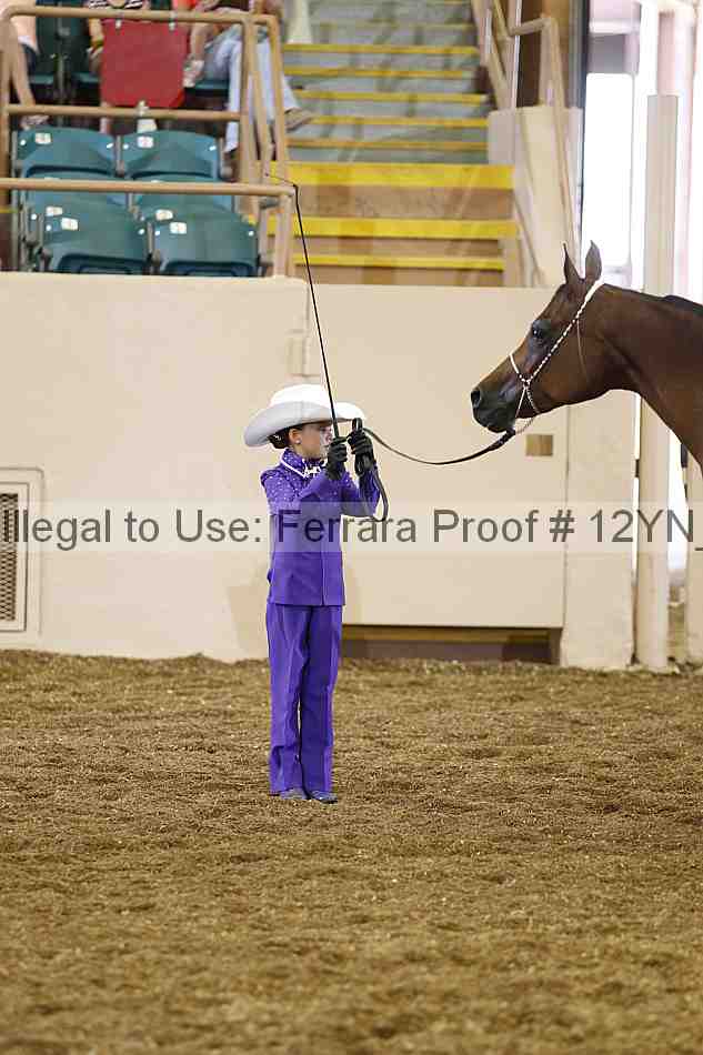 Proof 12yn_00372