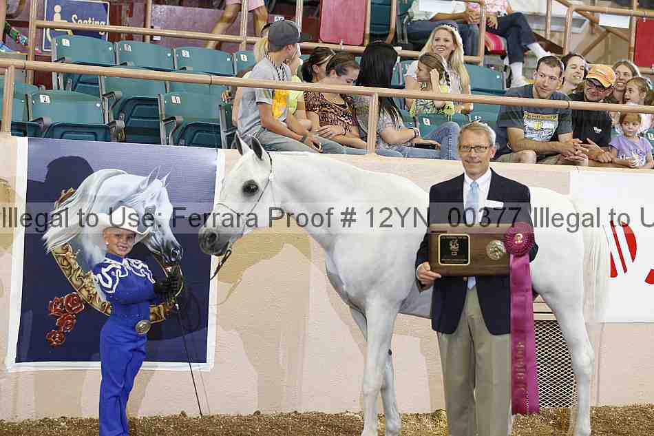 Proof 12yn_00377