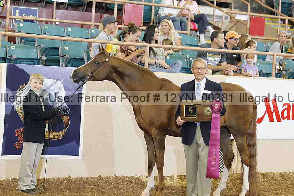 Proof 12yn_00381