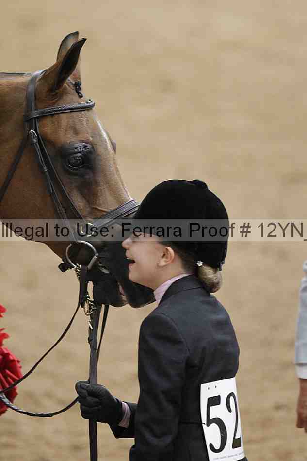 Proof 12yn_00431