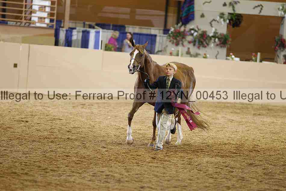 Proof 12yn_00453