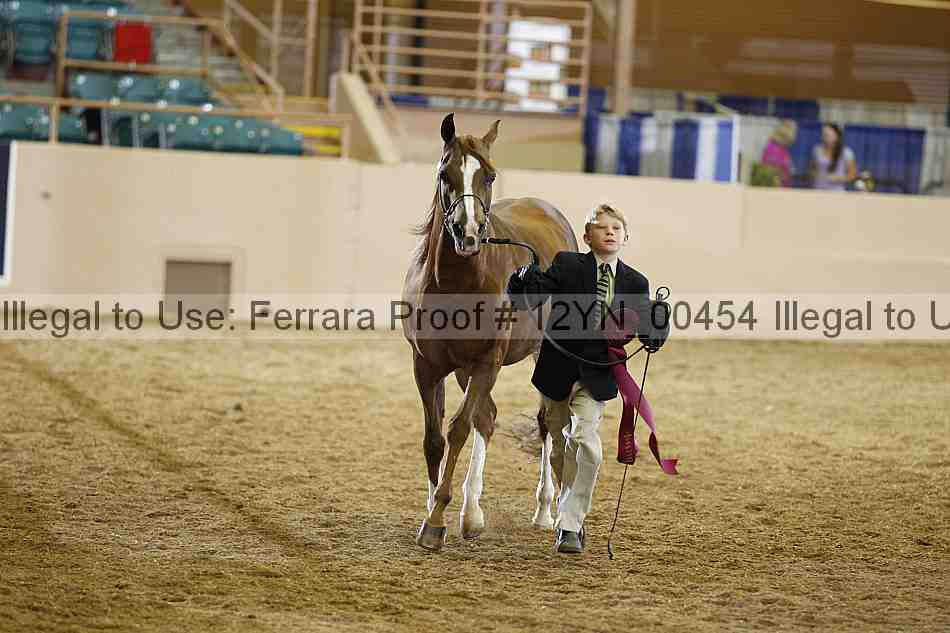 Proof 12yn_00454