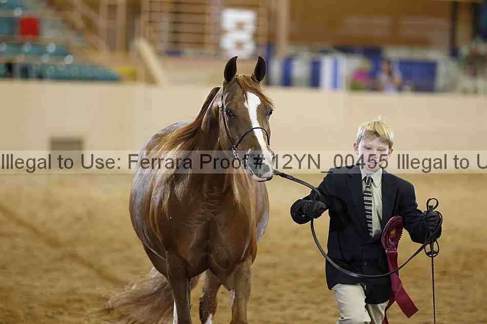 Proof 12yn_00455