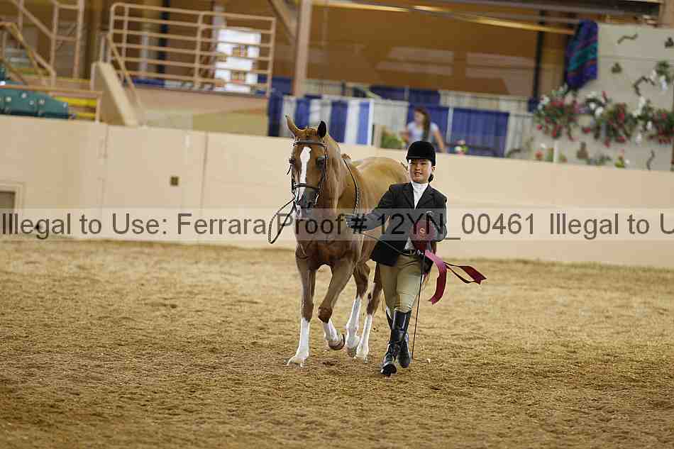 Proof 12yn_00461