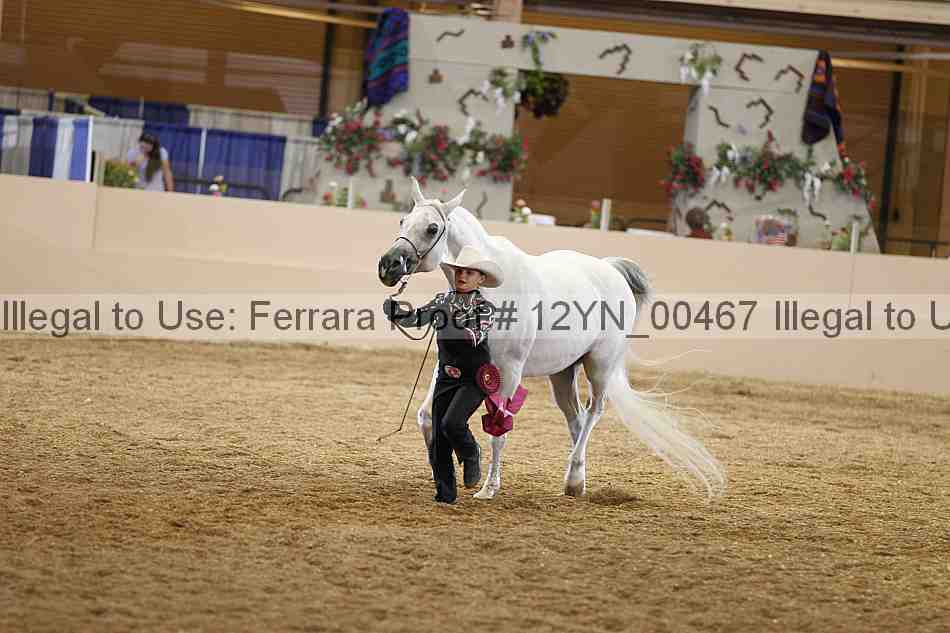 Proof 12yn_00467