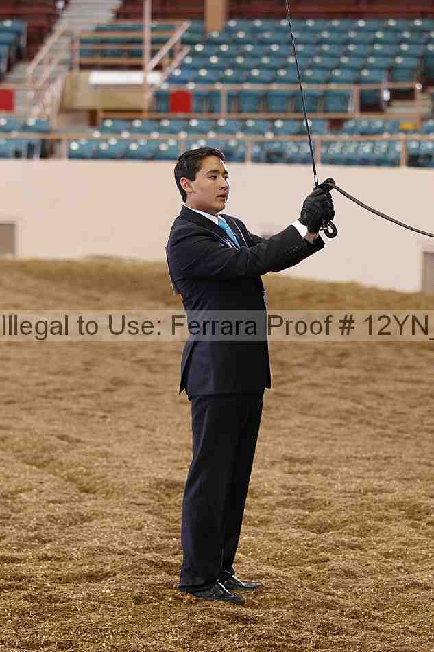 Proof 12yn_00238