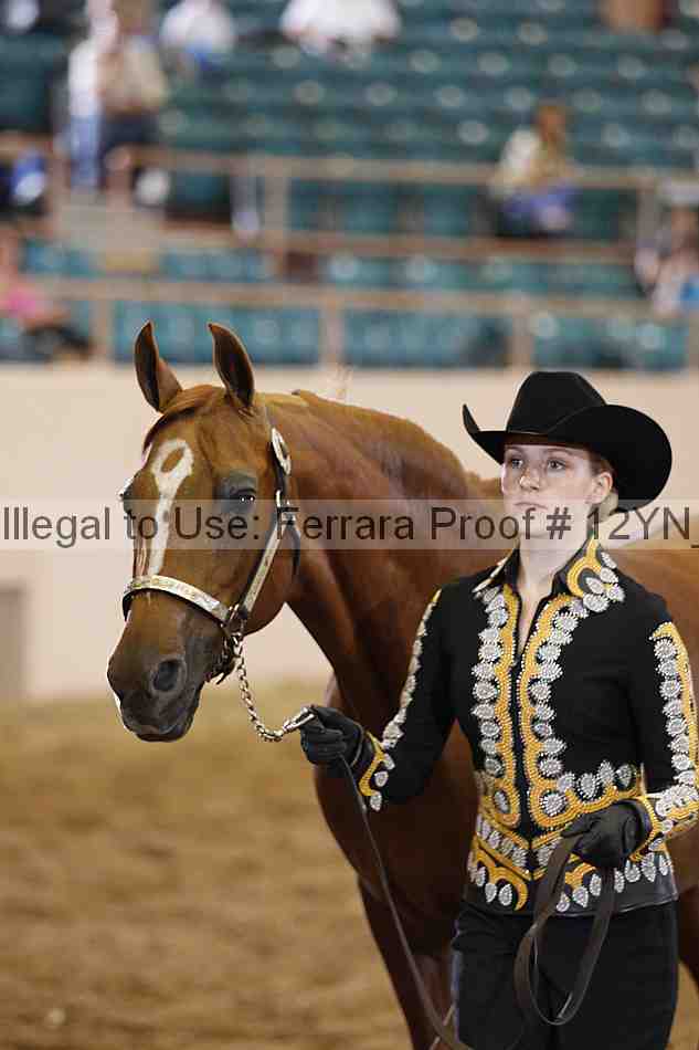 Proof 12yn_00245