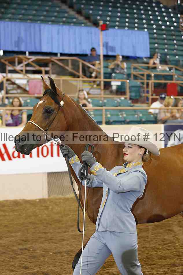 Proof 12yn_00256