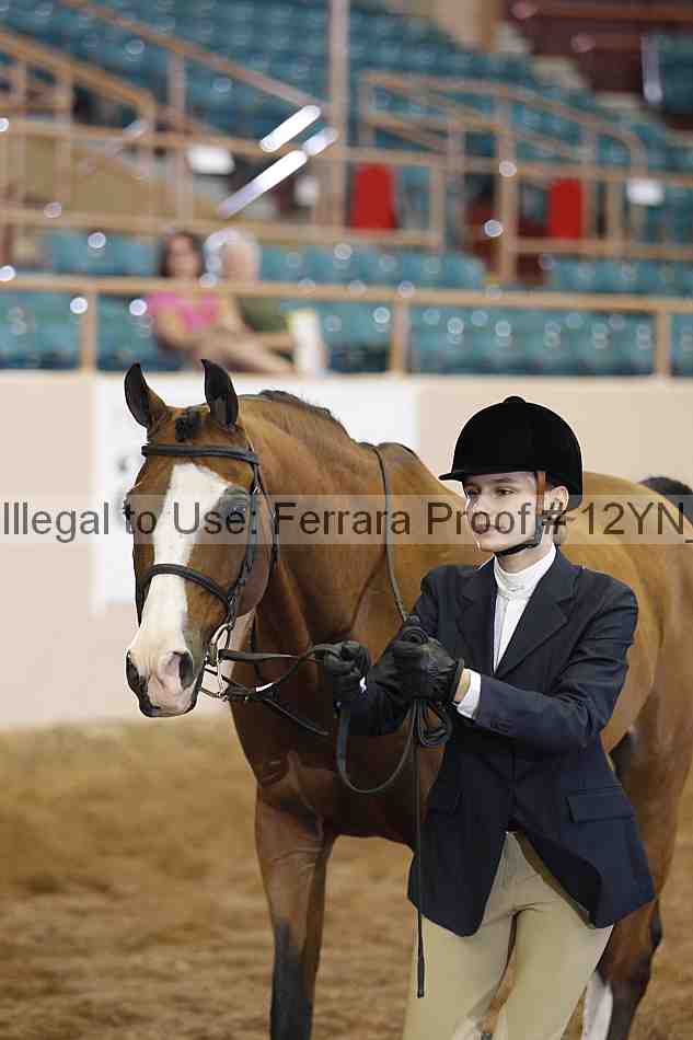 Proof 12yn_00260