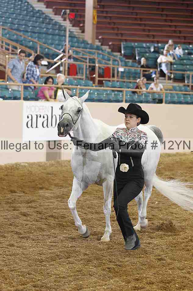 Proof 12yn_00263