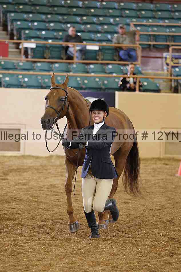 Proof 12yn_00273
