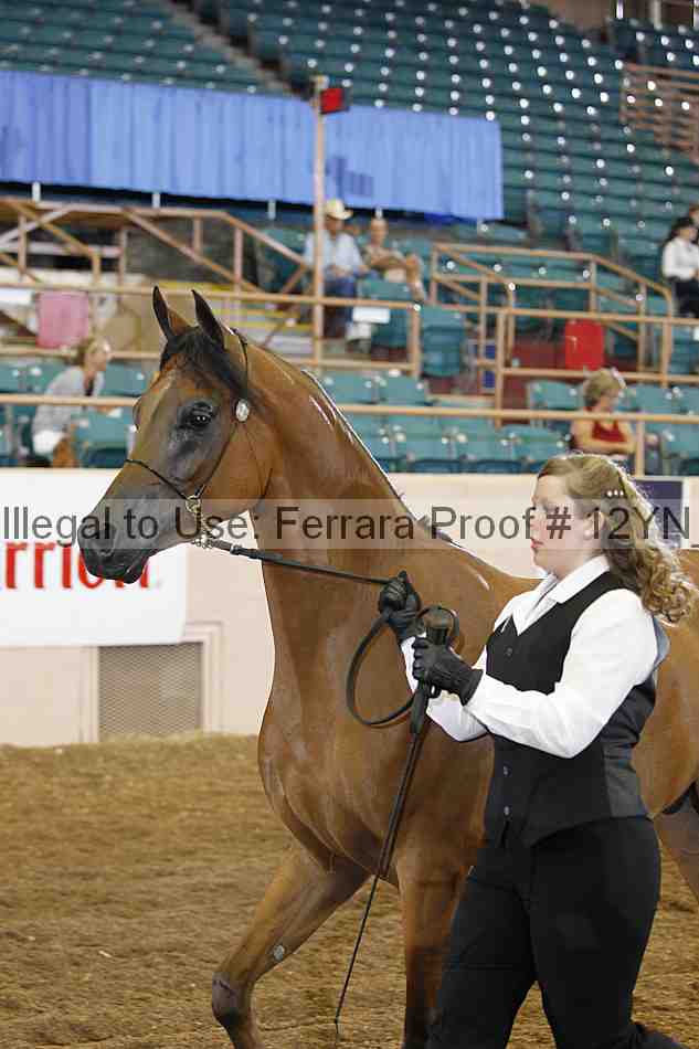 Proof 12yn_00308