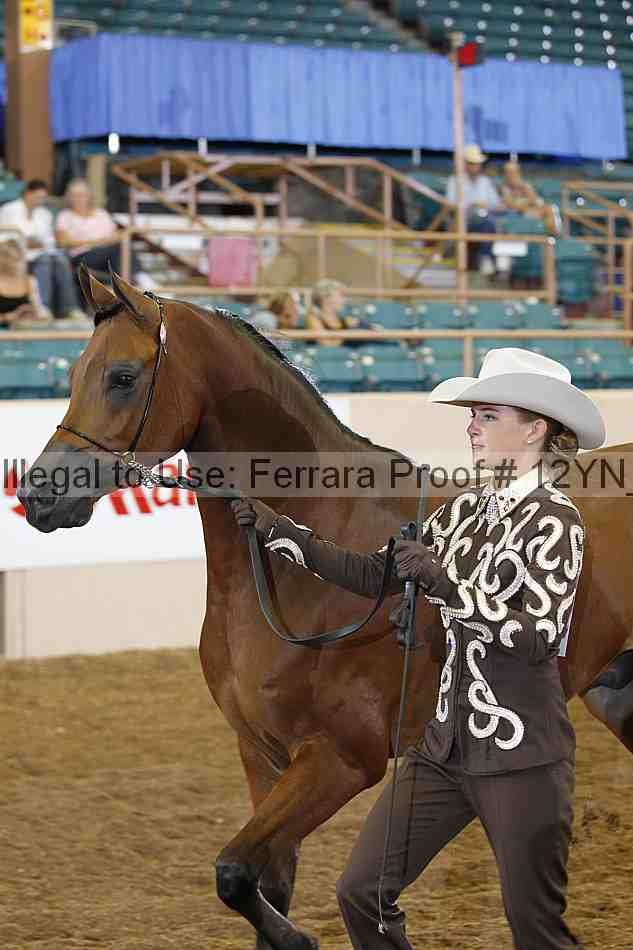 Proof 12yn_00311