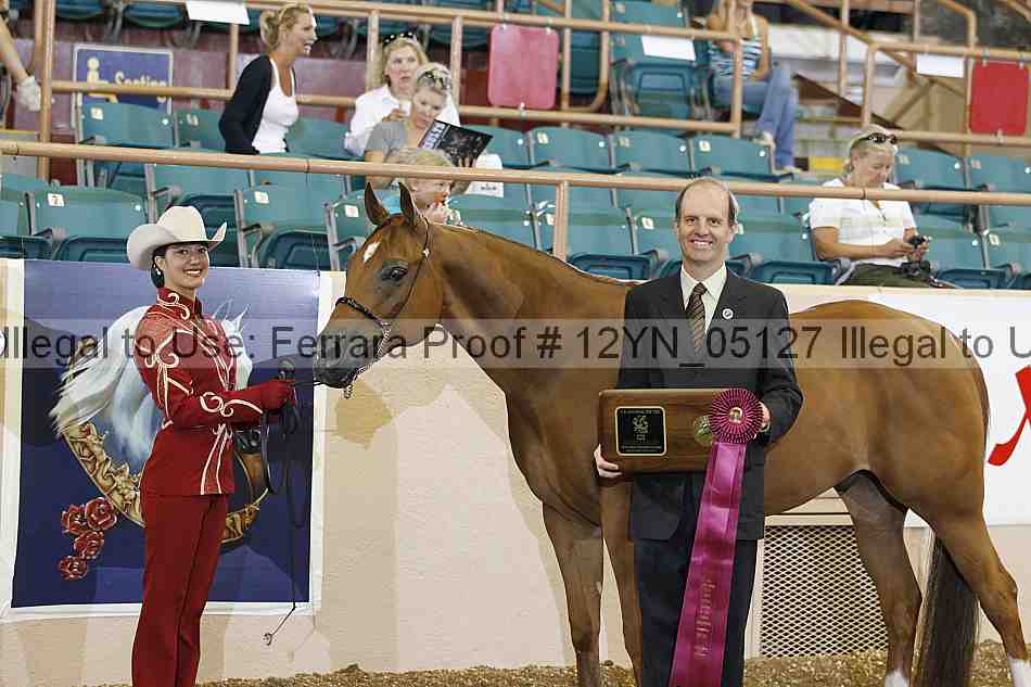 Proof 12yn_05127
