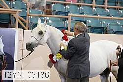 12yn_05136 proof