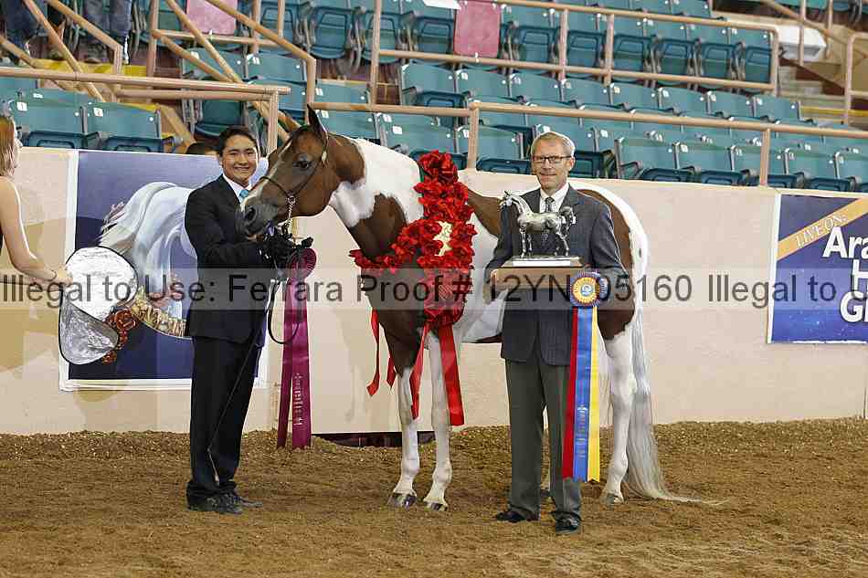 Proof 12yn_05160