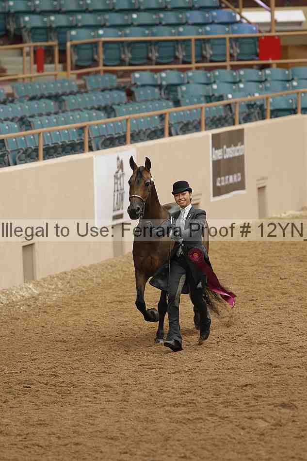 Proof 12yn_05185
