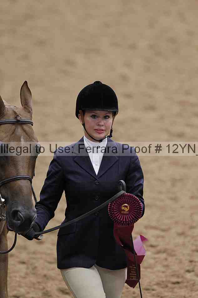 Proof 12yn_05195