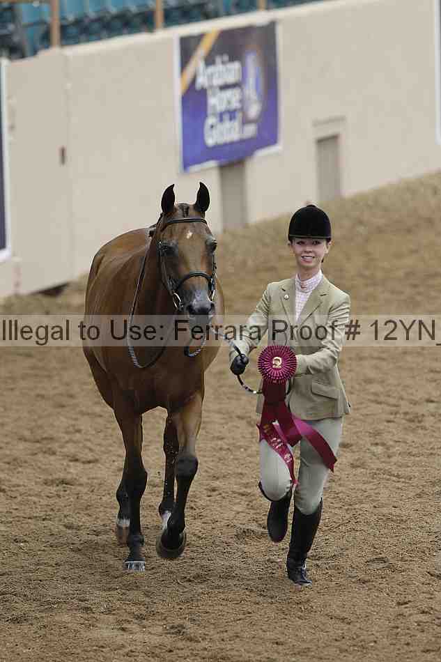 Proof 12yn_05206