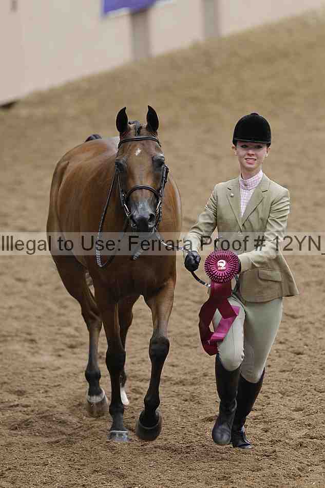 Proof 12yn_05208