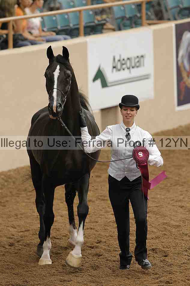 Proof 12yn_05216