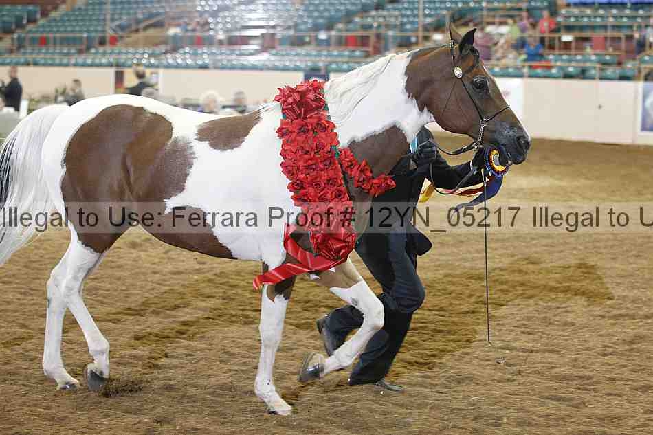 Proof 12yn_05217