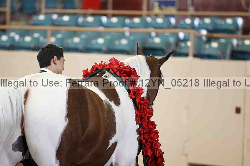 Proof 12yn_05218