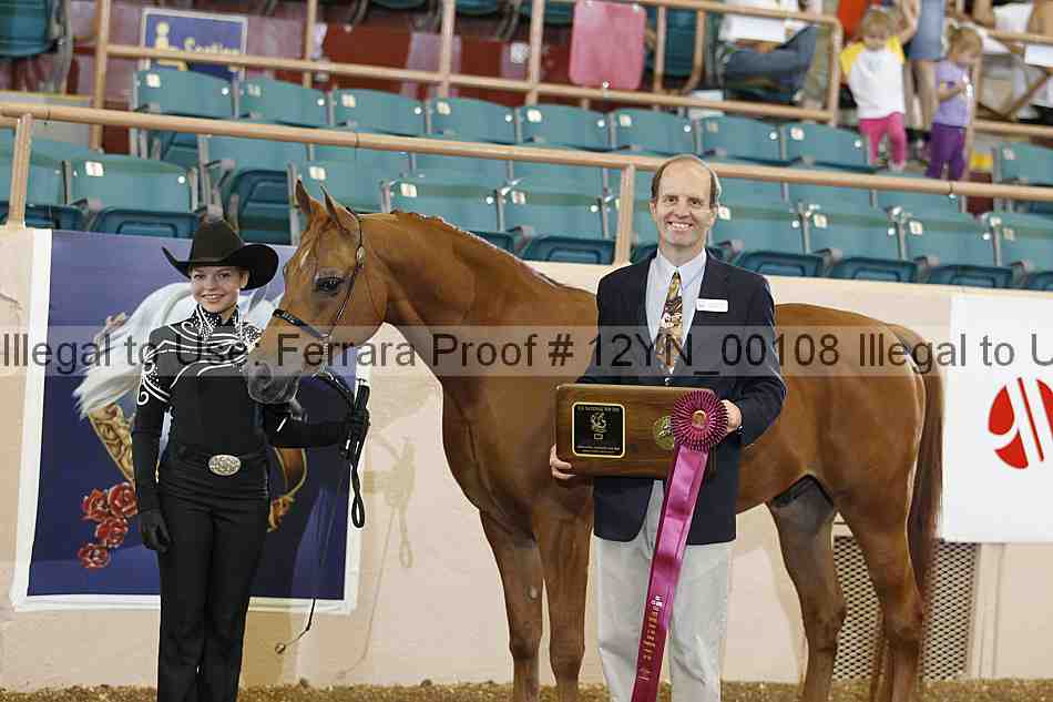Proof 12yn_00108