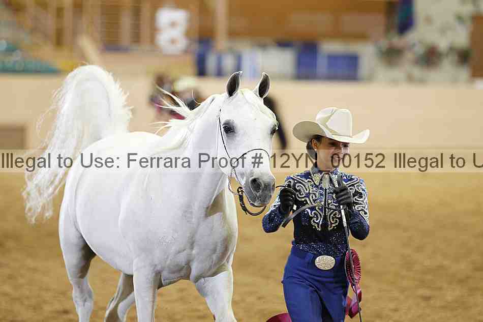 Proof 12yn_00152